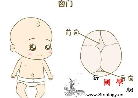 囟门闭合早会弱智吗_软尺-囟门-颅骨-闭合-