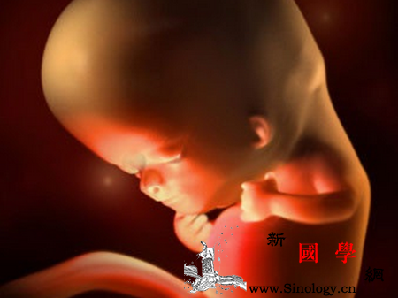 怀孕9周是几个月_胎动-预产期-几个月-推算-