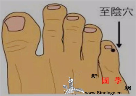 产后腰痛如何艾灸产后腰痛艾灸方法_阳关-艾灸-腰痛-穴位-