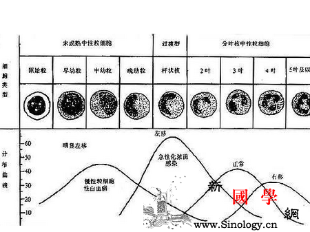 孕酮正常值_参考值-正常值-宫外孕-孕妇-