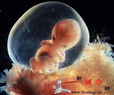 羊水是胎儿的尿液吗?有关羊水的N个秘密孕妈知_羊水-母体-胚胎-胎儿-