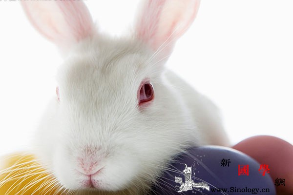 宝宝红眼病怎么办做到这些告别“兔子宝宝_红眼病-眼药水-加水-眼部-