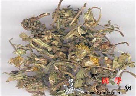 哺乳期尿路感染小偏方尿路感染内治方法_车前子-黄柏-哺乳期-甘草-