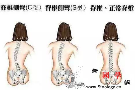 乳房被宝宝吃奶吃偏了该如何调整？_筋节-穴位-脊柱-乳房-