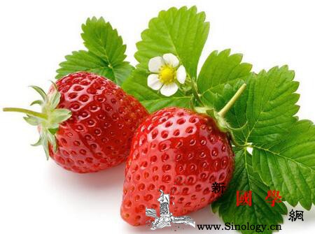 宝宝8月份吃什么水果好_忌食-果酸-桃子-吃什么-