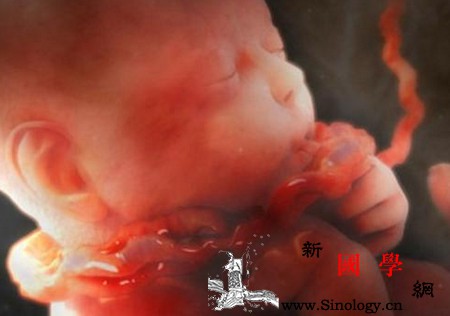 三个胎动症状提醒您宝宝可能缺氧！孕妈需谨慎_胎动-脐带-缺氧-胎儿-