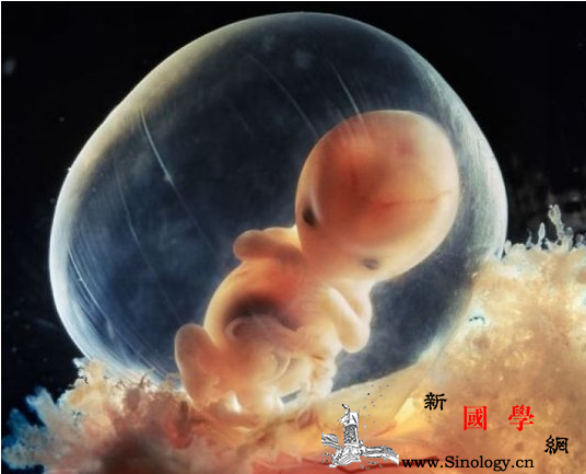 孕妇咳嗽对胎儿的影响_胎儿-食疗-咳嗽-孕妇-