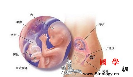 当胎宝宝发生心力衰竭“留”还是“流”？_救治-胎儿-患儿-医生-