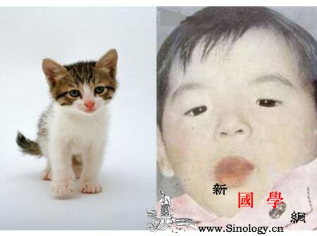 猫叫综合征的症状_掌骨-隐睾-咬合-综合征-