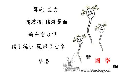 求子路上备孕夫妻容易走进哪些误区？_试管婴儿-排卵-误区-治疗-怀孕准备