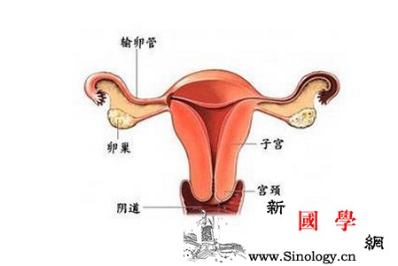 这5件事会让输卵管堵起来严重可导致不孕_输卵管-受孕-堵塞-导致-孕前检查