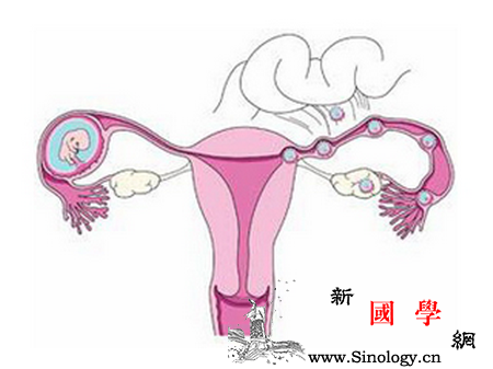 宫外孕多久能查出来_宫外孕-输卵管-胚胎-妊娠-