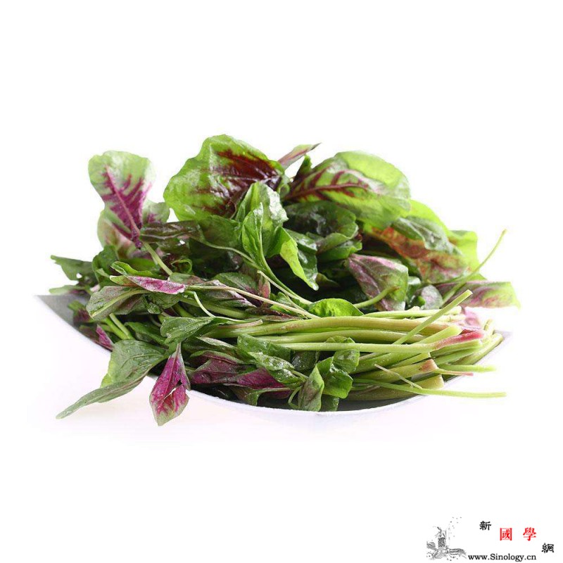 宝宝吃苋菜有什么作用食谱推荐_日光-苋菜-食谱-食用-