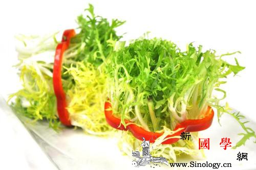 宝宝吃苦菊有什么好处食谱推荐_味素-消暑-吃苦-食谱-