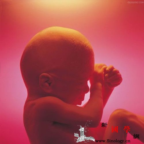 胎心率多少是男孩_胎动-监护-缺氧-胎儿-