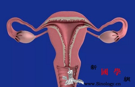 这4种隐蔽的妇科疾病会坏了你的好“孕”_征象-肿块-白带-肌瘤-怀孕准备