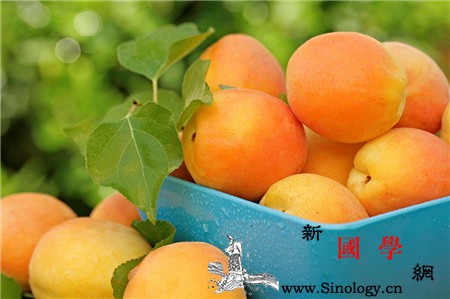 孕妇可以吃杏吗_营养元素-榴莲-梨子-孕期-