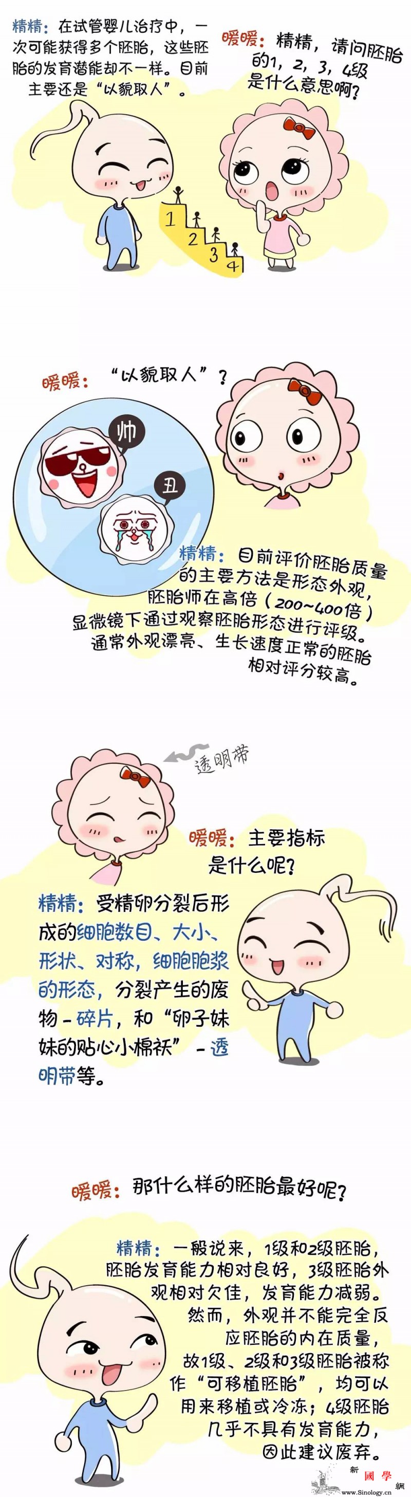 胚胎的1234级是什么意思啊？_胚胎-qbaobei-Uploads-img-