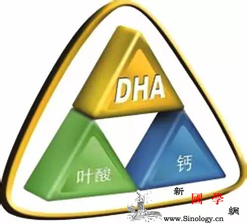 孕期补充DHA是什么道理？_鱼油-视网膜-胎儿-补充-