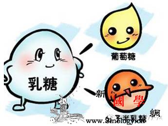 乳糖不耐受孕期该怎么补钙？_乳糖-草酸-酸奶-补钙-