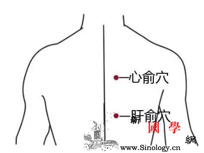 三伏贴一般帖哪几个穴位有效_伏贴-胸椎-几个-适用于-