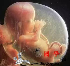 怀孕必须看：一眼分辨胎儿情况羊水是另一双眼睛_尼玛-羊水-试纸-尿液-