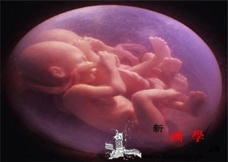 怀孕几个月会产生胎粪你不知道的宫内变化_羊水-宫内-头发-几个月-