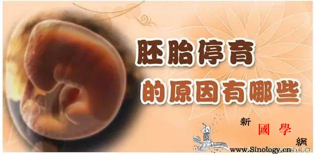 你为什么会遭遇胎停育?医生教你如何避免再次胎_卵子-染色体-胚胎-精子-