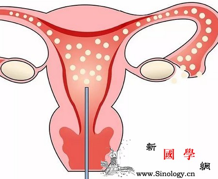 备孕期提升卵子质量该怎么做？_卵子-排卵-卵巢-孕期-怀孕准备