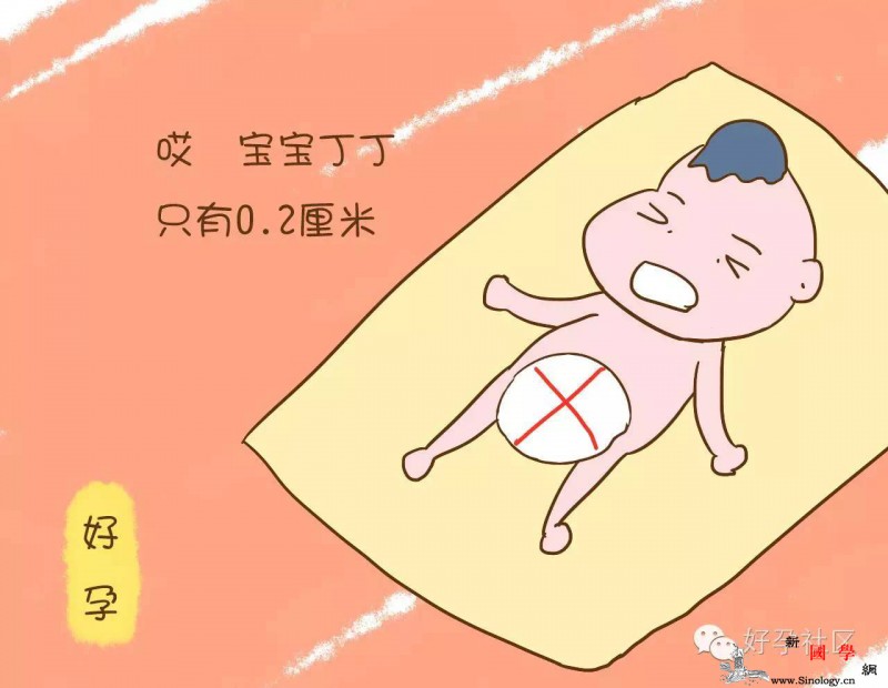宝宝出生后丁丁如米粒大这类饮料孕妈不要多喝_塑化剂-丁丁-羊膜-饮料-