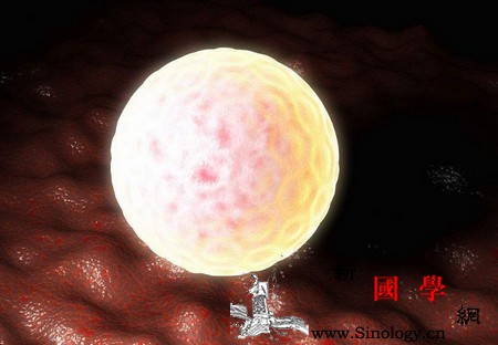 为什么我的卵子质量差？我该怎么办？_卵泡-线粒体-卵子-胚胎-遗传优生