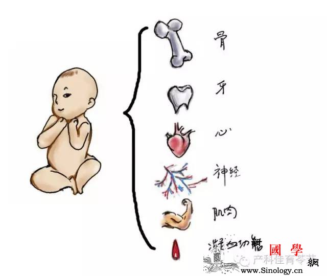 怀孕了吃啥？先拣重要的说！_需要量-脂肪酸-补充-摄入-