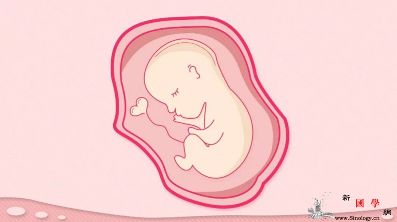 试管婴儿胚胎质量好坏和卵子有关系吗？_试管婴儿-卵子-胚胎-精子-怀孕准备