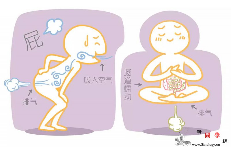 胎儿在妈妈肚子里会“放屁”吗？_羊水-母体-吞食-胎儿-