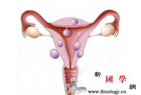 如何确定排卵期？排卵期没有白带正常吗？_排卵期-粘液-雌激素-白带-怀孕准备