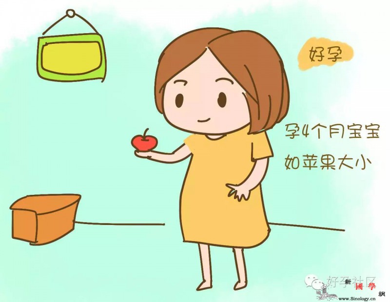 孕期最享受的只有这四个月妈妈和宝宝的变化实_个月-妈妈-宝宝-胎动-