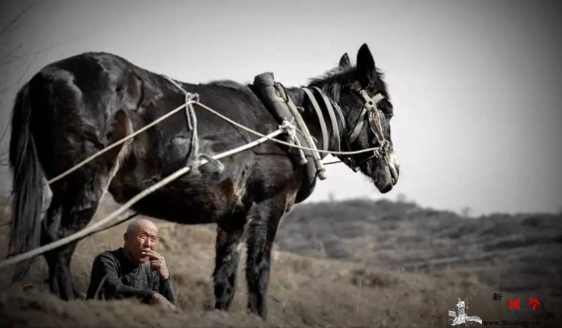 决定孩子一生的不是成绩而是这5件事！（写_儿子-成绩-老父亲-孩子-