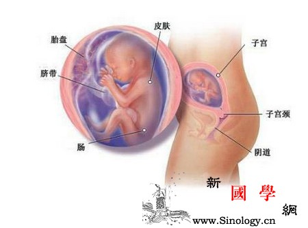 胎儿畸形也许是糖尿病捣的鬼_胎盘-胰岛素-妊娠-血糖-