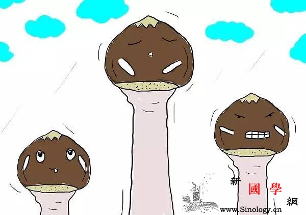 吃了紧急避孕药后还是怀孕了孩子能不能要啊？_毓婷-着床-产科-避孕药-