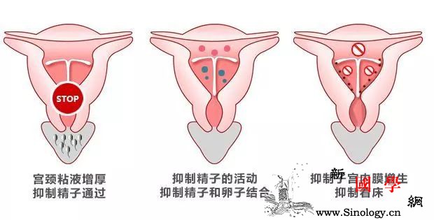 取环后何时能够受孕？_宫内-受孕-月经-避孕-怀孕准备