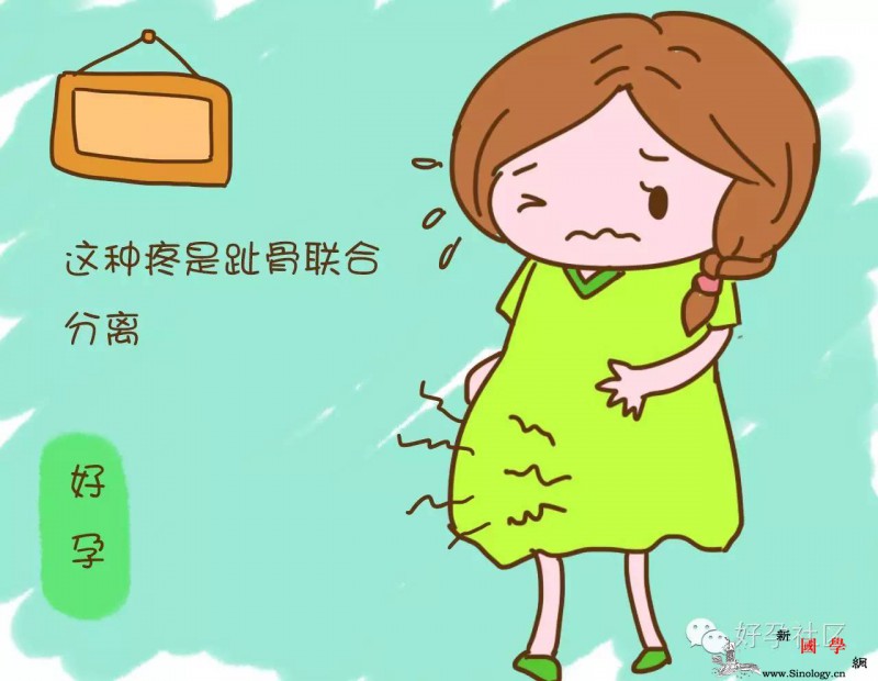 孕期的这种难受虽难以启齿可关乎健康真的不要_趾骨-顺产-生下-耻骨-