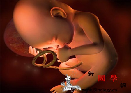 胎儿双侧肾盂无分离是什么意思_肾盂-输尿管-卵子-染色体-
