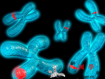 羊水穿刺流产的原因_羊水-染色体-穿刺-术后-