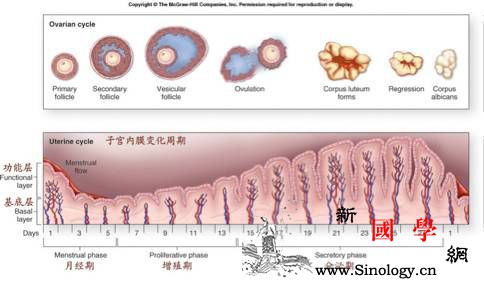 来大姨妈之前脾气大？经前综合征这样缓解！_卵泡-痛经-综合征-缓解-怀孕准备