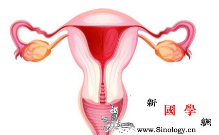 卵巢早衰：卵巢保养早知道_雌激素-卵巢-早衰-食物-怀孕准备