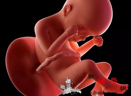 你知道胎儿性别是什么时候形成的？医生来告诉你_卵子-染色体-生殖腺-宝宝-生男生女