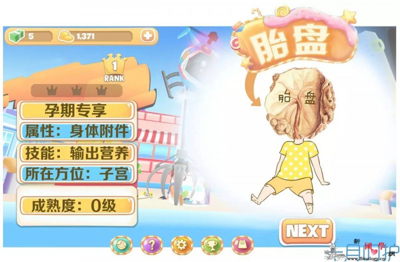 所有孕妈都要经历的胎盘大冒险_胎盘-成熟度-妊娠-老化-