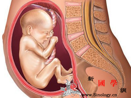 胎儿臀位是什么原因造成的_胎位-脐带-宫颈-分娩-