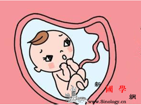 胎儿臀位头在哪里_胎位-顺产-骨盆-脐带-