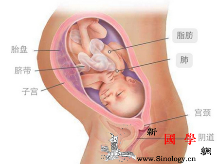 胎儿臀位会入盆吗_耻骨-痛感-胎儿-子宫-